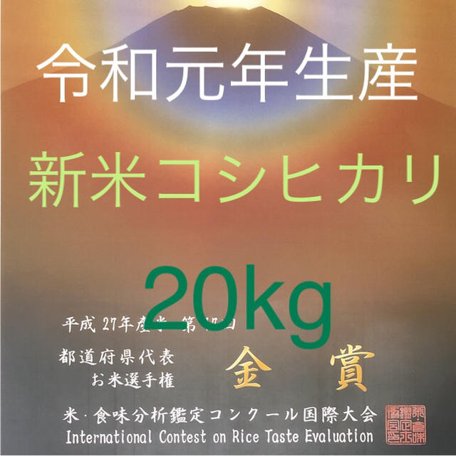 栃木県産農家直送新米コシヒカリ20kg食品