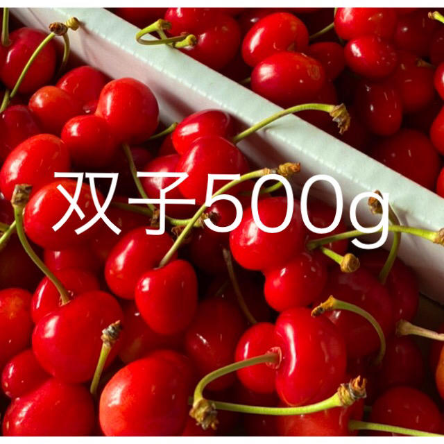 10セット限定!! 山形県産　高級　さくらんぼ　佐藤錦　S〜L秀品　1キロ 食品/飲料/酒の食品(フルーツ)の商品写真