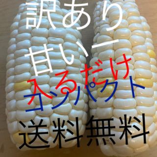 訳あり品ホワイトとうもろこしコンパクト入るだけ❗️(野菜)