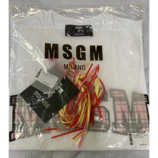 エムエスジイエム(MSGM)の限定‼️ MSGM チェックロゴ　Tシャツ　ssenseコラボ(Tシャツ(半袖/袖なし))