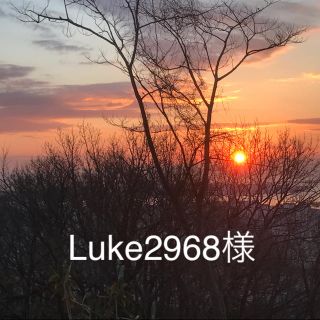 Luke2968様専用(美容液)