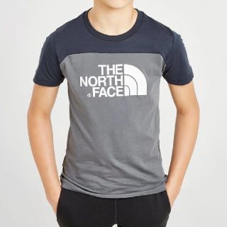 ザノースフェイス(THE NORTH FACE)のノースフェイス カラーブロックTシャツ(Tシャツ/カットソー(半袖/袖なし))