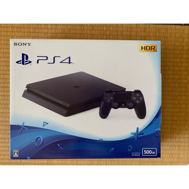 PlayStation4 CUH-2200AB01 500GB