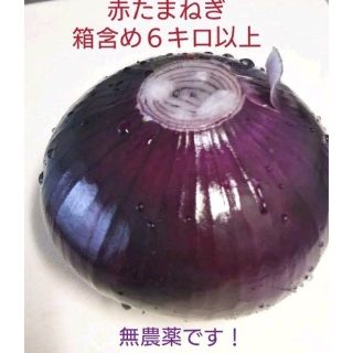 ！！モモマル様専用！！赤たまねぎ　無農薬　6キロ程　箱に入るだけ(野菜)