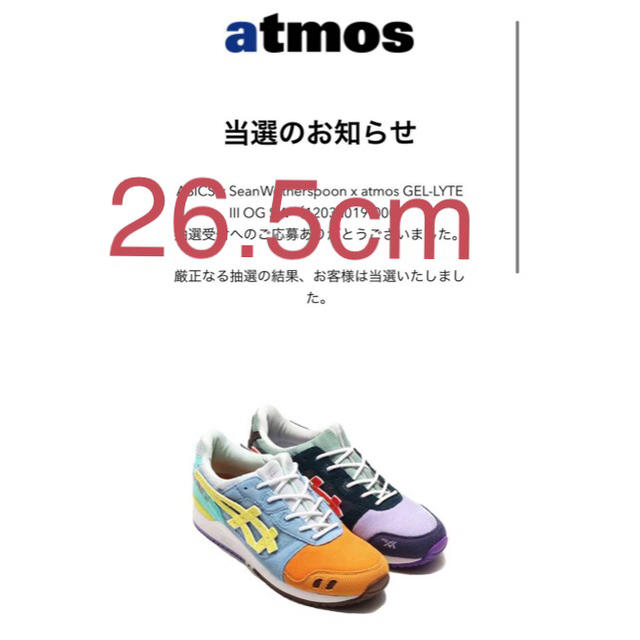 atmos(アトモス)のASICS x SeanWotherspoon atmos 26.5cm メンズの靴/シューズ(スニーカー)の商品写真