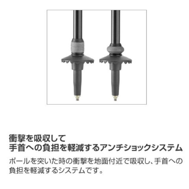 最大60%OFFクーポン Leki Super Micro トレッキングポール(2本)