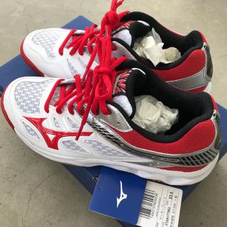 ミズノ(MIZUNO)の新品！ミズノのバレーボール用ジュース(バレーボール)