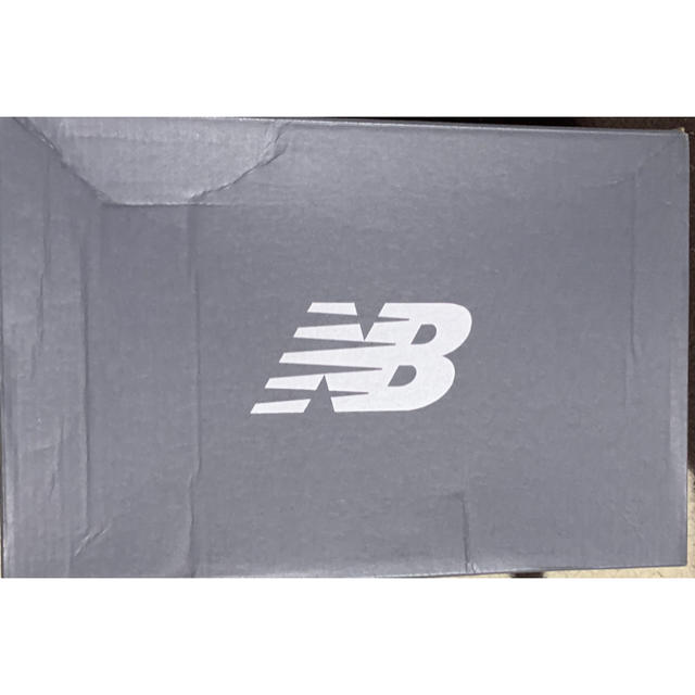 New Balance(ニューバランス)のNB×the Apartment ML801GTX 28.5cm US10.5 メンズの靴/シューズ(スニーカー)の商品写真