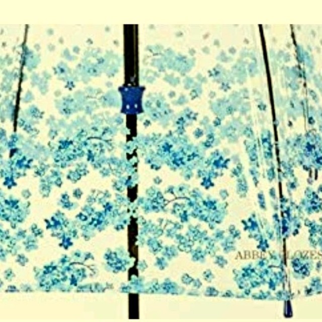 新品FULTONフルトン傘 バードゲージ 小花柄 レディースのファッション小物(傘)の商品写真