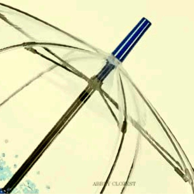 新品FULTONフルトン傘 バードゲージ 小花柄 レディースのファッション小物(傘)の商品写真