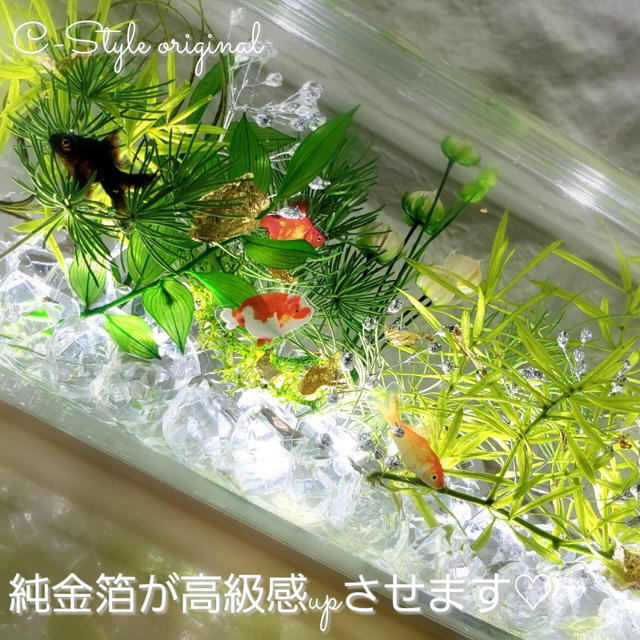 レア出品 限定 涼しい夏の水槽 横置きBig ～和～Gold fish-