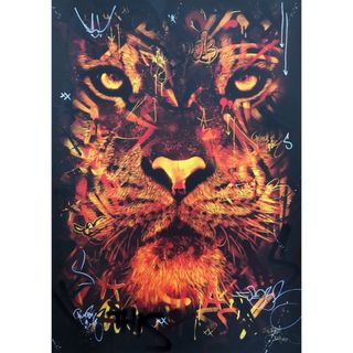 【新品・未使用】SNIK & Martin Whatson 「Tiger」(版画)