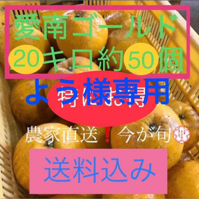 愛媛県産 農家直送 愛南ゴールド(河内晩柑) 食品/飲料/酒の食品(フルーツ)の商品写真