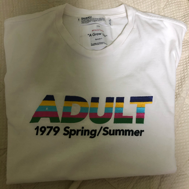 SUNSEA(サンシー)の7月限定価格　DAIRIKU 19ss ADULT Tシャツ メンズのトップス(Tシャツ/カットソー(半袖/袖なし))の商品写真