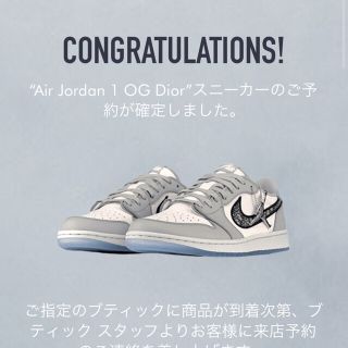 ディオール(Dior)のAIR DIOR  Nike air Jordan1 low(スニーカー)