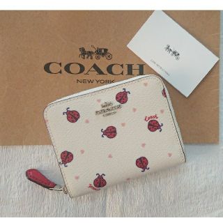 COACH - 【2020 夏 新作❗】コーチ COACH 折り財布 てんとう虫柄🐞の