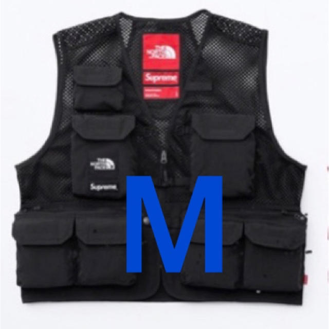 supreme north face vest