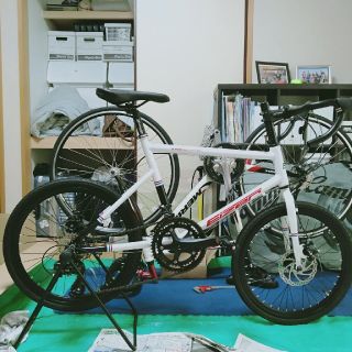 マニア向け ミニベロ ロード 2018モデル Eizer M300 14段変速(自転車本体)