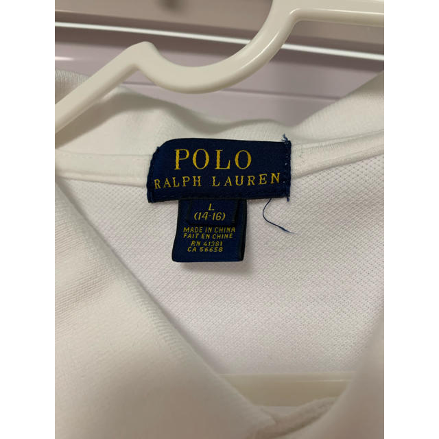 POLO RALPH LAUREN(ポロラルフローレン)のPOLO RALPH LAUREN ラルフローレン　ポロシャツ　L メンズのトップス(ポロシャツ)の商品写真