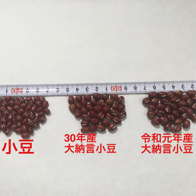kentaeyang様 北海道産 とよみ大納言小豆 800g+100g 2quGwVGZT4, 食品/飲料/酒 - www.contrologypf.com kentaeyang様 北海道産 とよみ大納言小豆 800g+100g 2quGwVGZT4, 食品/飲料/酒 - www.contrologypf.com