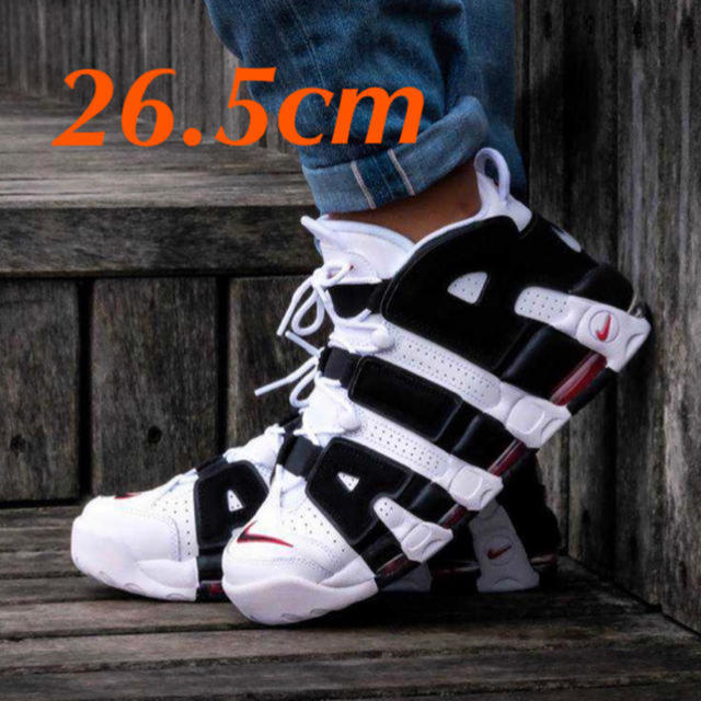 29.0cm AIR MORE UPTEMPO ゼブラ　モアテン