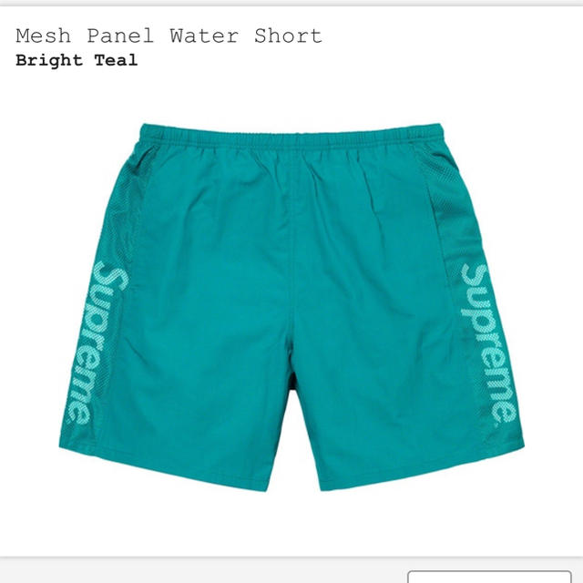 Supreme Mesh Panel Water Short M