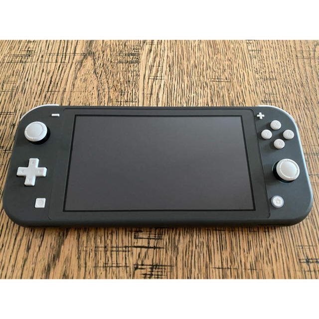 Nintendo Switch Liteグレーとポーチ