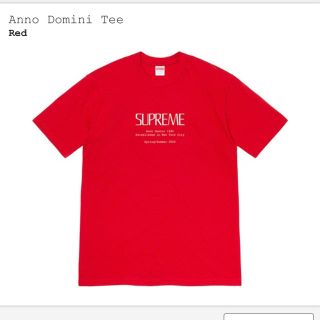 シュプリーム(Supreme)のsupreme anno domini tシャツ(Tシャツ/カットソー(半袖/袖なし))