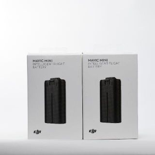 DJI 純正　Mavic Mini バッテリー　2400mAh　マビック　ミニ(トイラジコン)