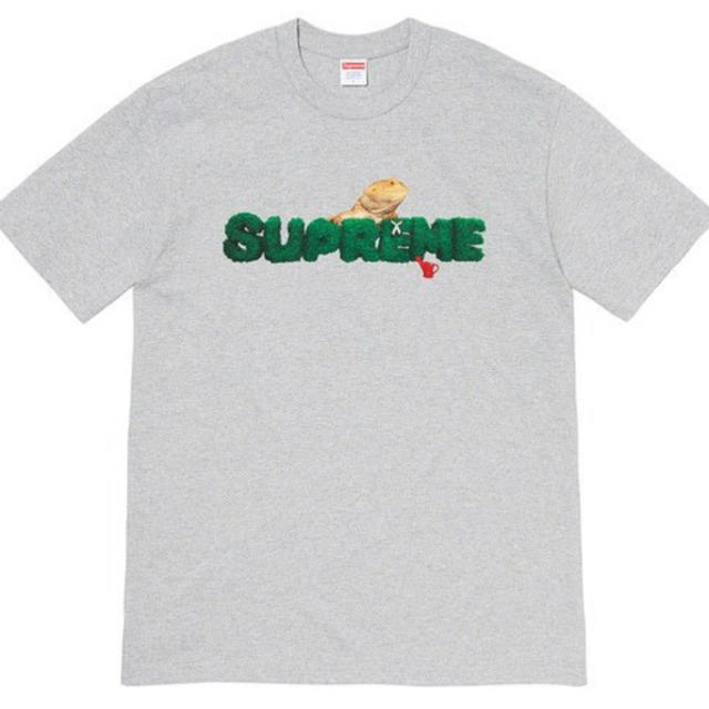 新品20SS Supreme Lizard Tee Heather Grey L