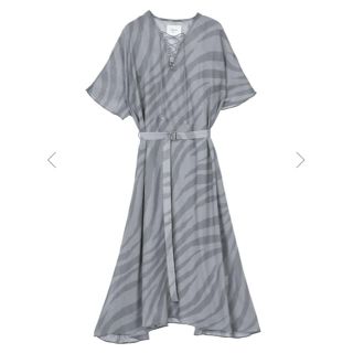 アメリヴィンテージ(Ameri VINTAGE)のZEBRA SHEER DRESS ameri(ロングワンピース/マキシワンピース)