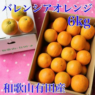 和歌山有田産　バレンシアオレンジ　6kg (送料込み)(フルーツ)