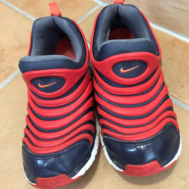 NIKE(ナイキ)のNIKE ダイナモフリー 21cm キッズ/ベビー/マタニティのキッズ靴/シューズ(15cm~)(スニーカー)の商品写真