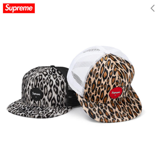 キャップSupreme Leopard Mesh Back 5-Panel