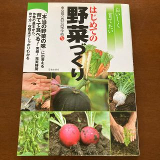 おいしく育てたいはじめての野菜づくり(趣味/スポーツ/実用)