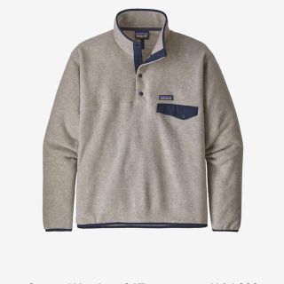 パタゴニア(patagonia)のパタゴニア　シンチラ　スナップt(スウェット)