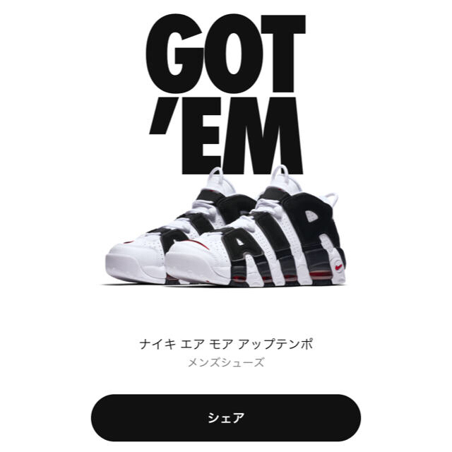 【値下げ不可】（29.0センチ）NIKE AIR MORE UPTEMPO