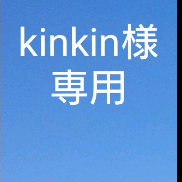 kinkin様専用ページです。 食品/飲料/酒の食品(フルーツ)の商品写真