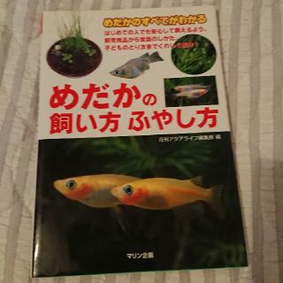 めだかの飼い方ふやし方 めだかのすべてがわかる(住まい/暮らし/子育て)