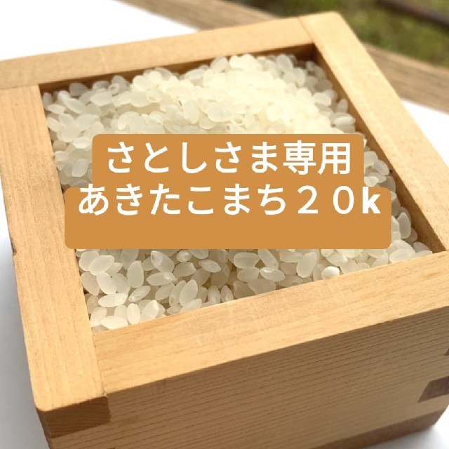 さとしさま専用 あきたこまち20キロ 白米 - 米/穀物