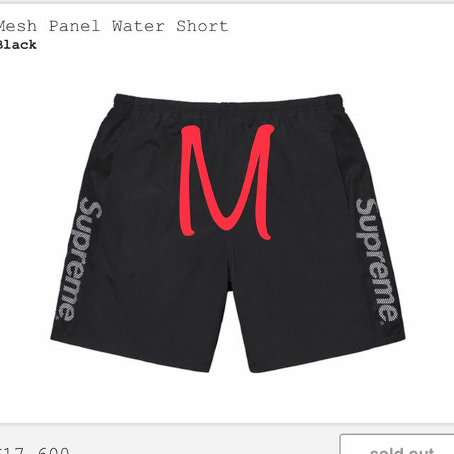 supreme Mesh Panel Water Short 水着 supreme Mesh Panel Water Short 水着