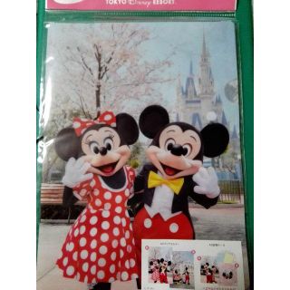 ディズニー(Disney)の東京ディズニーリゾート 桜 クリアファイル(ファイル/バインダー)