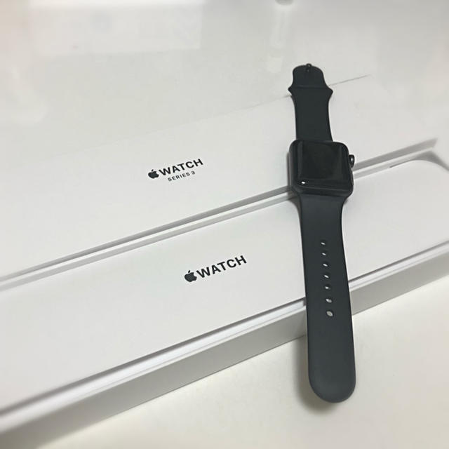 Apple Japan(同) Apple Watch 38mmケース用 スペースアップル定価67800
