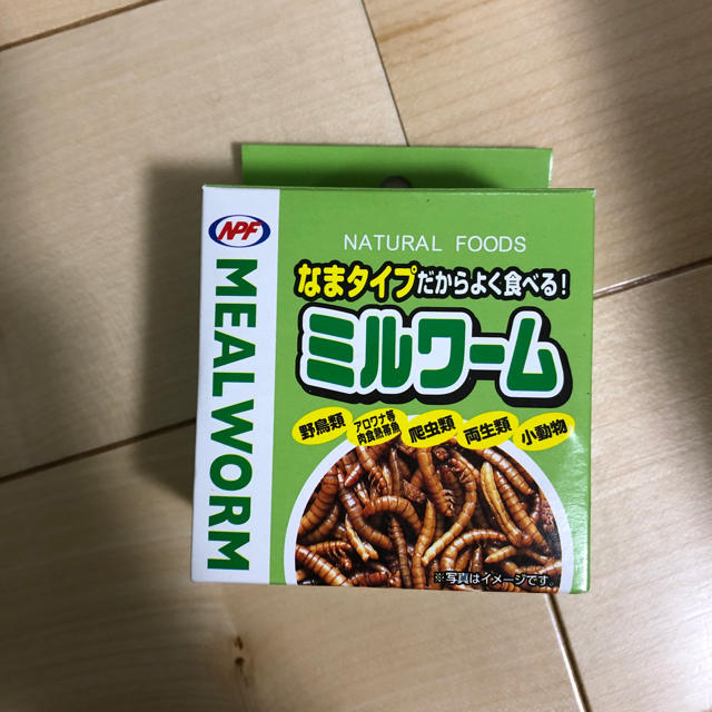 ミルワーム　生 その他のペット用品(ペットフード)の商品写真