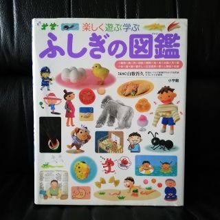 ショウガクカン(小学館)のなみ様専用　ふしぎの図鑑(絵本/児童書)