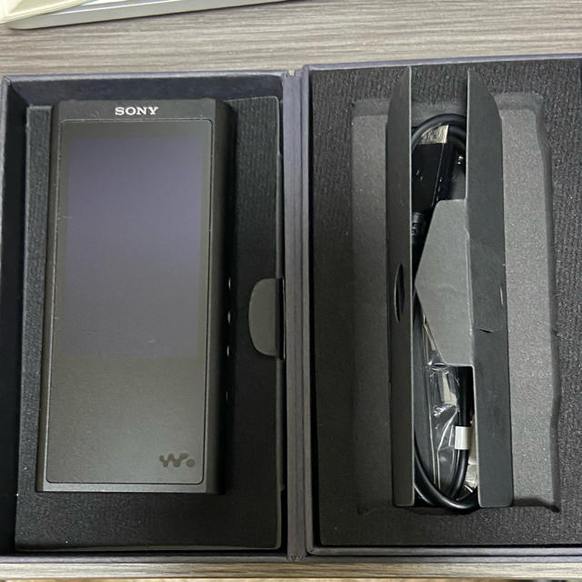 SONY WALKMAN NW-ZX300G 128GB - master-otdelka.kz