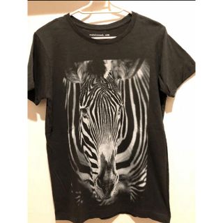 RUDE ルード zebra Tシャツ イタリア 希少(Tシャツ/カットソー(半袖/袖なし))