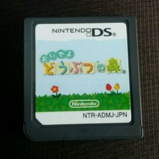 NINTENDODSおいでよどうぶつの森(その他)