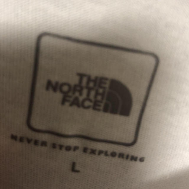 THE NORTH FACE(ザノースフェイス)のレディース Lサイズ　 レディースのトップス(Tシャツ(半袖/袖なし))の商品写真