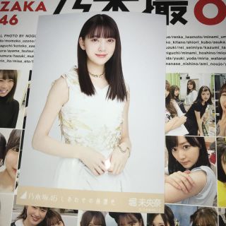 ノギザカフォーティーシックス(乃木坂46)の乃木坂46 堀未央奈　生写真　しあわせの保護色(その他)